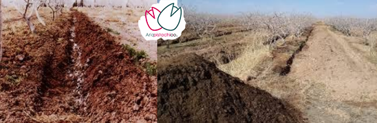 10 دلیل پوکی پسته و راه حل فوری برای جلوگیری از آن!