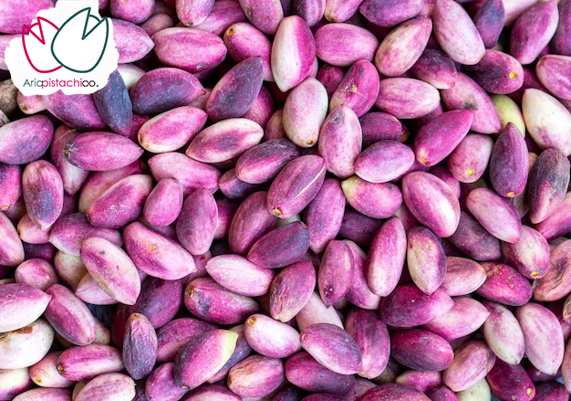پسته تازه باغات آریا پسته رفسنجان