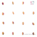 مغز پسته اعلا درجه یک کشیده - تصویر 4