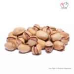 پسته کله قوچی شور درجه یک1404