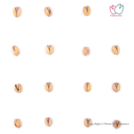 پسته فندقی درجه یک برشته نمکی