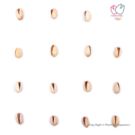 پسته احمد آقایی اقتصادی آریا پسته