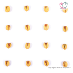 پسته فندقی درجه یک برشته زعفرانی