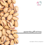 پسته احمدآقایی درجه یک برشته موسیری