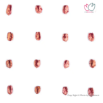 پسته اکبری درجه یک برشته اناری1404 - تصویر 5