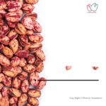 پسته اکبری درجه یک برشته اناری1404 - تصویر 2